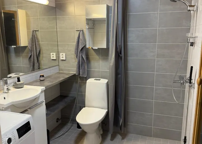 Center With Own Sauna * Rovaniemi